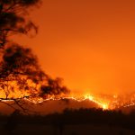 Incendi in Australia: Cosa sappiamo e cosa sta succedendo