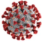 Coronavirus: bollettino del 19 maggio 2020