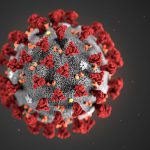 Coronavirus: bollettino del 23 maggio 2020