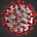 Coronavirus: bollettino del 3 agosto 2020