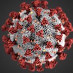 BOLLETTINO CORONAVIRUS (SETTIMANA 15-21 MARZO)